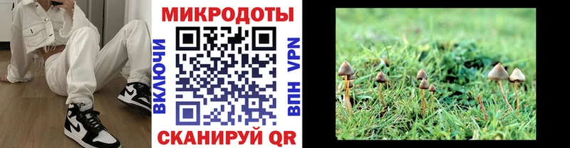 Псилоцибиновые грибы прущие грибы  купить  сайты  Майский 